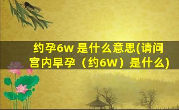 约孕6w 是什么意思(请问宫内早孕（约6W）是什么)